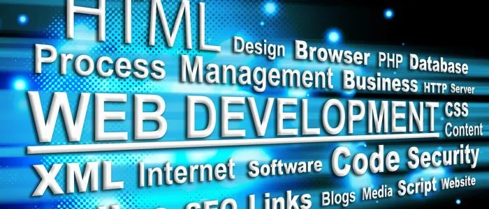 strumenti usati e skill